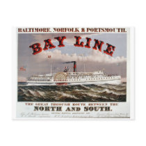 Bay Line - The Great Through Line Postcard