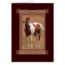Bay Pinto Greeting cards