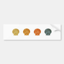 Bay Scallops Bumper Sticker