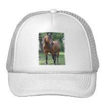 Bay Thoroughbred Horse Baseball Cap Trucker Hat