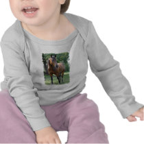 Bay Thoroughbred Horse Infant Onesie Shirts