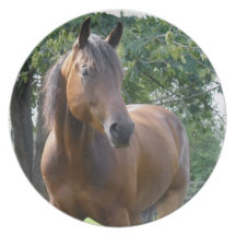 Bay Thoroughbred Horse Plate