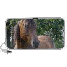 Bay Thoroughbred Horse Speakers
