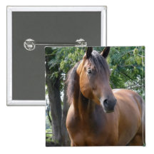 Bay Thoroughbred Horse Square Pin