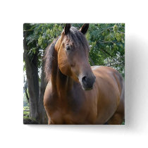 Bay Thoroughbred Horse Square Pin