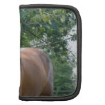Bay Thoroughbred Horse  Wallet Folio Planner