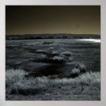 Bayland Infrared Palo Alto Posters
