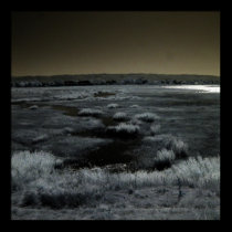 Bayland Infrared Palo Alto posters