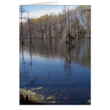 bayou card