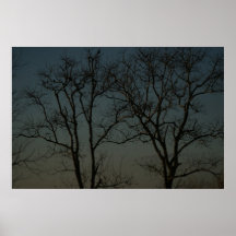 bayou trees poster