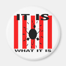 Bazinga Gifts Magnets