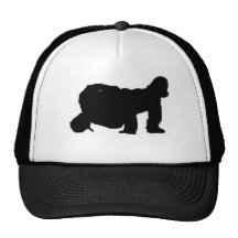 BBOY POSE HAT