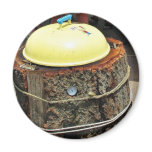 Bbq Logs Lids Refrigerator Magnets