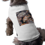 BBQ Sausages pet clothing