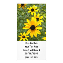 BC- Fun Custom Daisy Photocards Picture Card