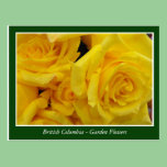 BC garden flowers postcards
