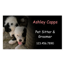 BC "In the Shade" - Old English Sheepdog puppies Business Card Template