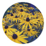 bc summer gardens4 stickers