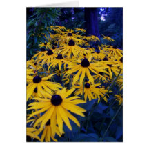 BC summer gardens 4 Greeting Card
