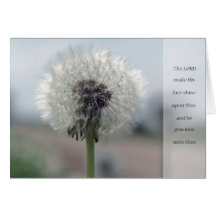 BD001 CARDS