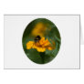 Be a bee greeting cards