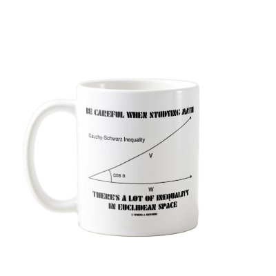 Be Careful When Studying Math Inequality Euclidean Mugs by wordsunwords