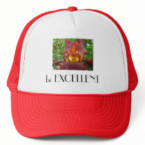 be EXCELLENT hats Iris Flowers Glowing Floral