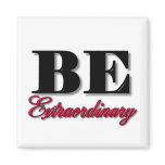 Be Extraordinary Magnets