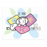 be-kind-to-animals- Rocky Post Card