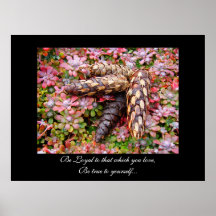 Be Loyal to that which you love Be true yourself Print