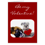 Be my Valentine boxer puppy greeting card