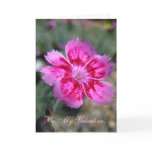 Be My Valentine... Greeting Cards