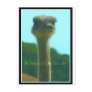 Be Proud of Yourself Post Card
