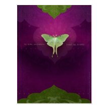 Be Still (Postcard)