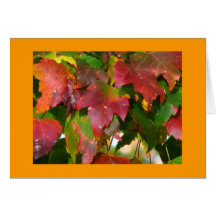 Be Thankful Greeting Card