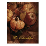 Be Thankful Harvest Centerpiece Postcard