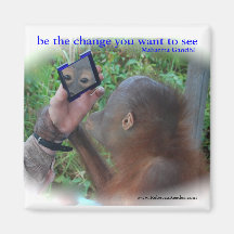 Be the Change : Face in the Mirror Refrigerator Magnets
