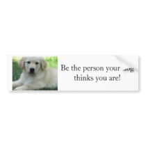 Be the person your dog thinks you are bumper stickers