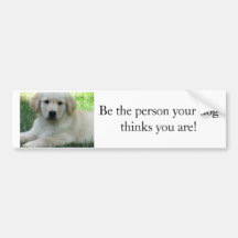 Be the person your dog thinks you are bumper stickers
