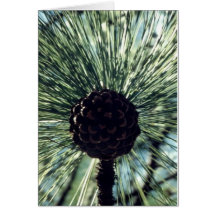 Be the Pinecone Notecard