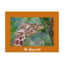 Be Yourself Collection Postcard