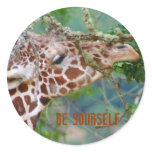 Be Yourself Collection Sticker