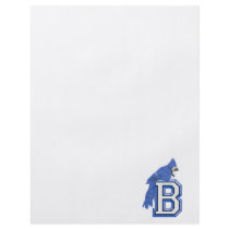 Bea Blue Jay Full Color Flyer