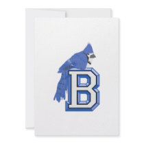 Bea Blue Jay Personalized Announcements