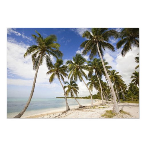 Beach at Punta Cana Photographic Print