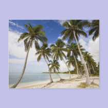Beach at Punta Cana postcards