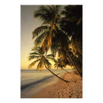 Beach at sunset, Trinidad