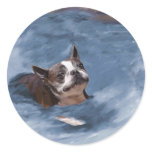 Beach Babe Sticker