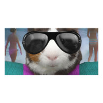 Beach bum guinea pig custom photo card