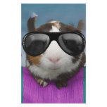 Beach bum guinea pig personalized stationery